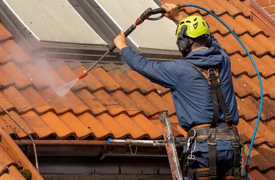 Démoussage et hydrofuge de toiture à Meillers